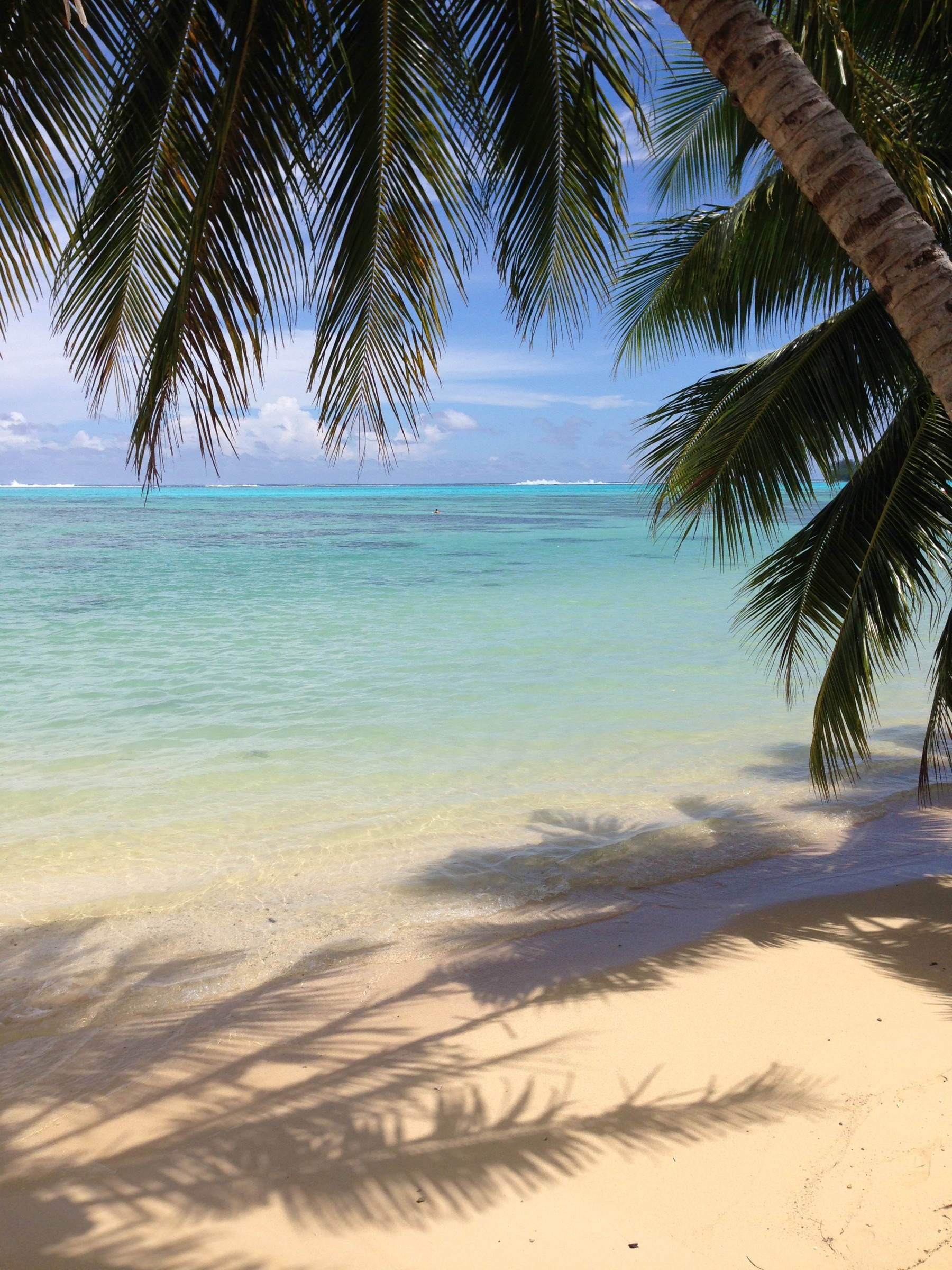 Pension Moorea Beach Lodge